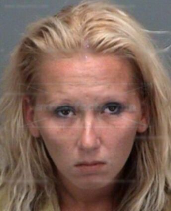 Holly Ann Palwick