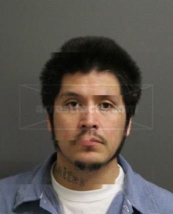 Damien Michael Saylor