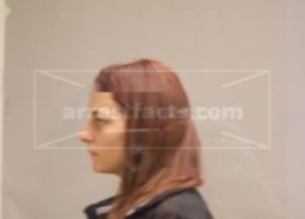 Jennifer L Costerisan