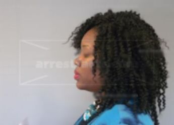 Akilah A Nash-Fleming