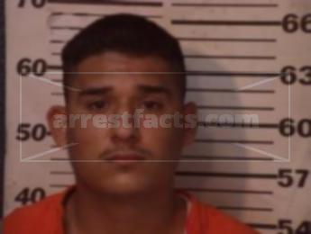 Fidel Jr Cabello Garza