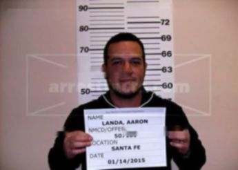 Aaron Roel Landa