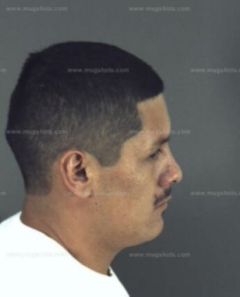 Reynaldo Mejia-Ibarra