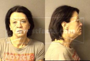 Carol Renee Aynes