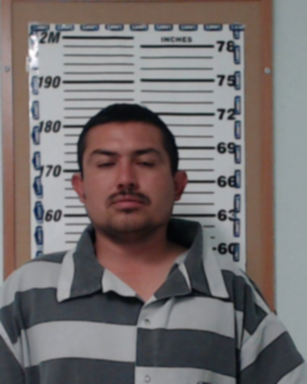 Genaro Arellano