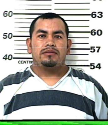 Elvis Mendoza Patricio