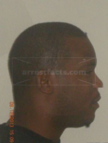 Torrino D Shepherd