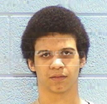 Nico L. Watkins