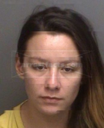 Nicole Ann Gibson