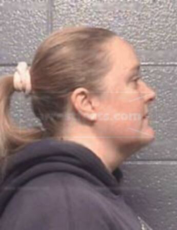 Bendi Williamson Davis