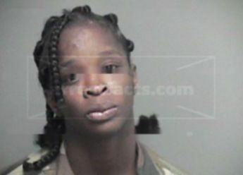 Belinda Ann Jenkins