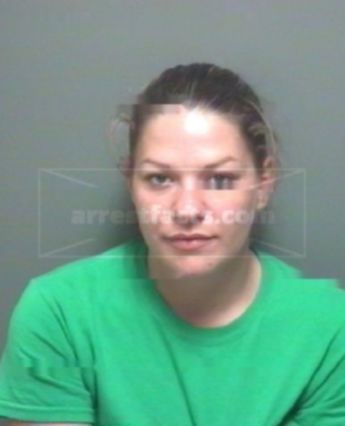 Ariel Leigh Barnett