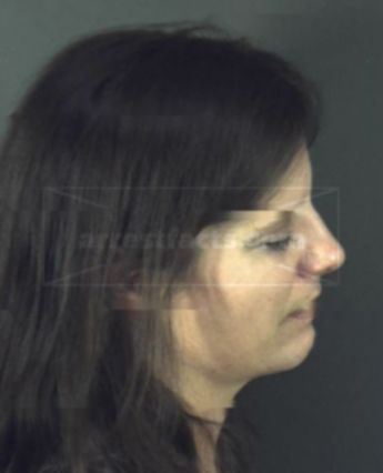 Karen Patrica Artrip