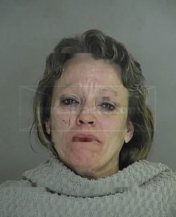 Mary Lisa Mitchell