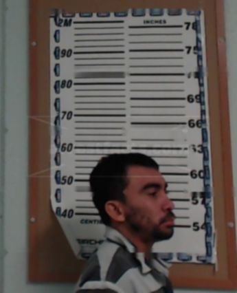 Carlos Navarro-Hernandez