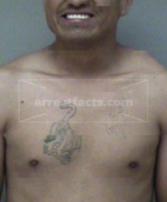 Elmer Vasquez-Ramirez
