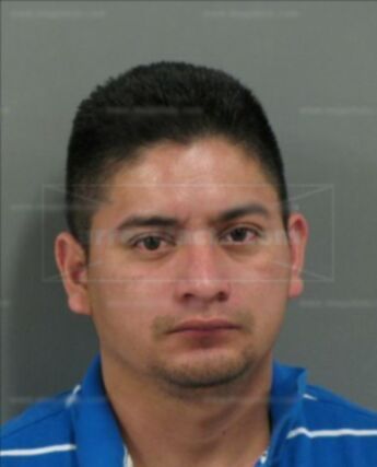 Marco Alvarado