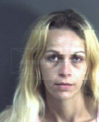 Leslie Ann Platt