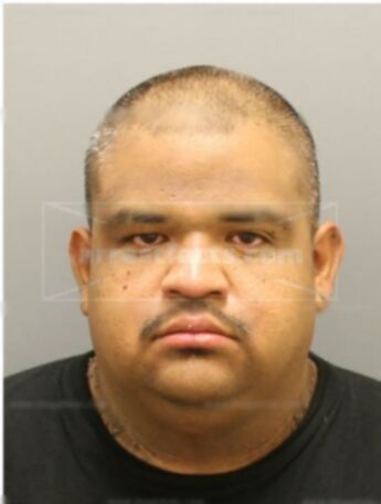 Raymond Hernandez