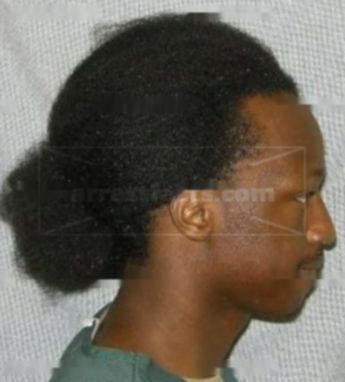 Darien L Webb