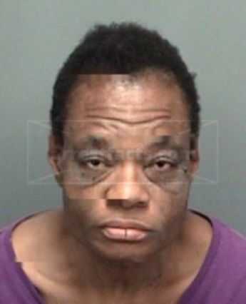 Janice L Sapp