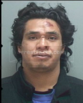 Tevita Siu Loni