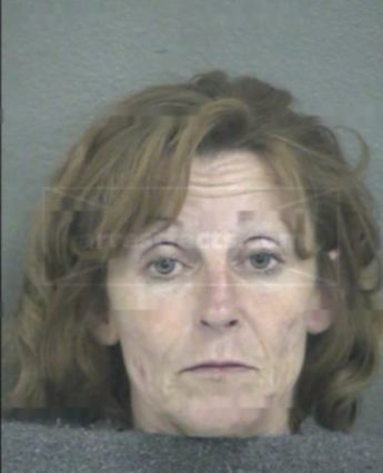 Sandy Janette Cramer