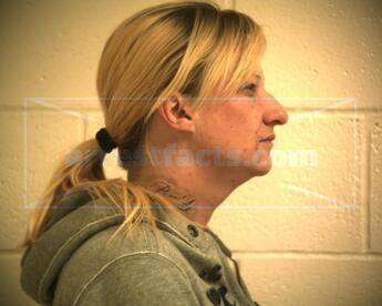 Michelle Lee Rodemeyer Ritter