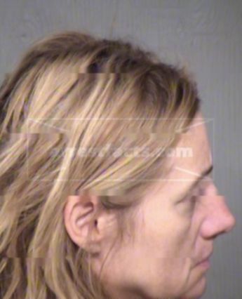 Sherry Ann Harlan