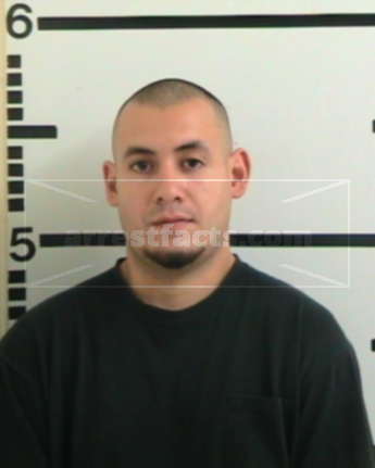 Enrique Venegas Falcon