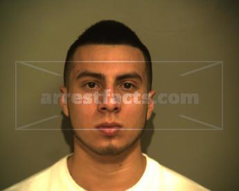 Orlando Johan Mireles Gama