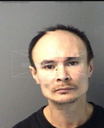 Robert Vincent Padgett
