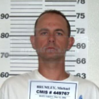 Michael D Brumley