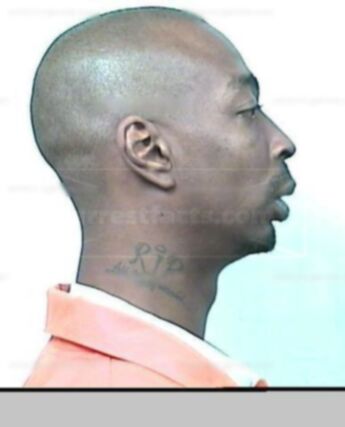 David W Polk Jr.