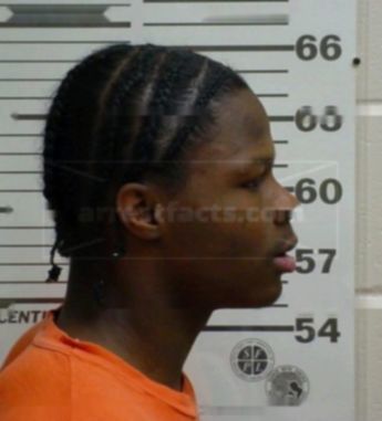 Jamell L Ellis