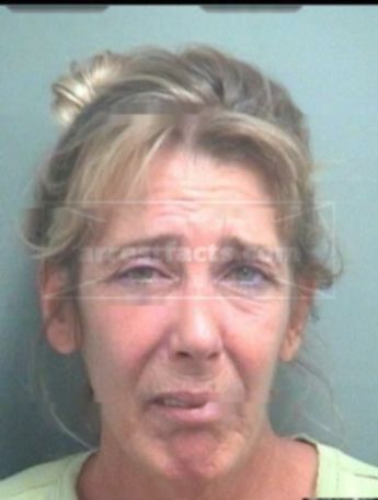 Cynthia Louise Foster