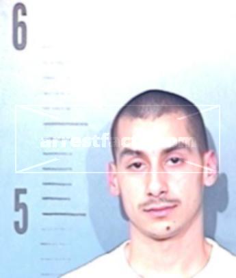 Ronnie Michael Torres