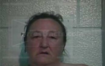 Teresa A Johnson