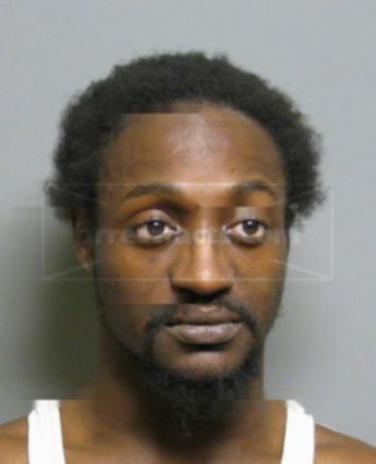 Michael J Harrell