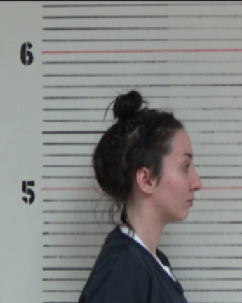 Megan Taylor Stevens