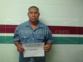 Bustamante Juarez-Flores
