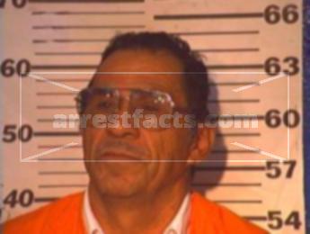 Leon Aleman Bernal