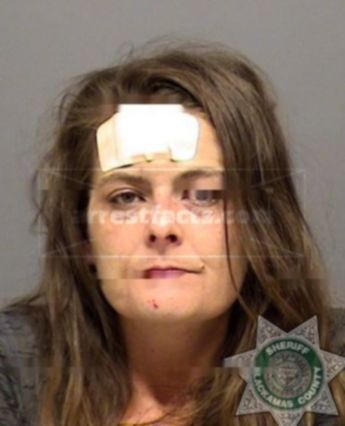 Laurie Ann Smith