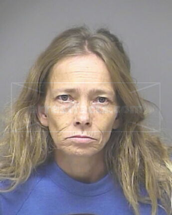 Rebecca Lynn Elkins