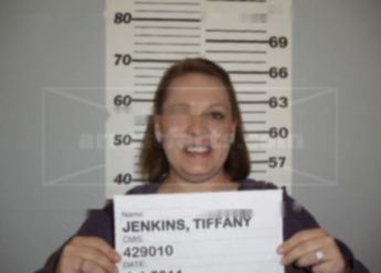 Tiffany Melyssa Donielle Jenkins