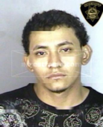 Ronald Jose Salinas