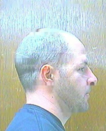 Timothy J Hamilton