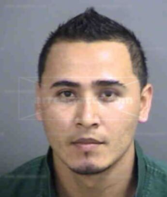 Donis Alcerroariano Heraldo