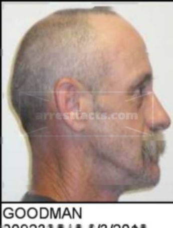 Dennis Michael Goodman
