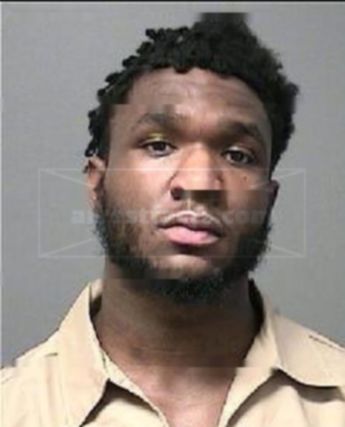 Terrell D Alston